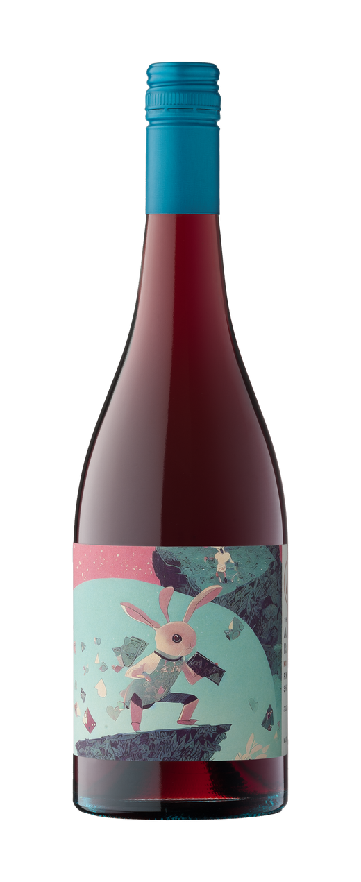 2023 No Reason Pinot Noir Shiraz