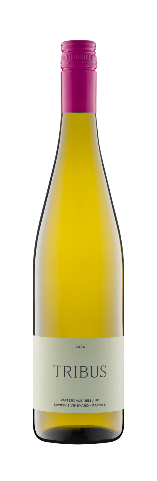 2024 Watervale Riesling